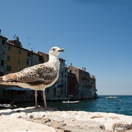 Apartamento Maximus Rovinj Exterior foto