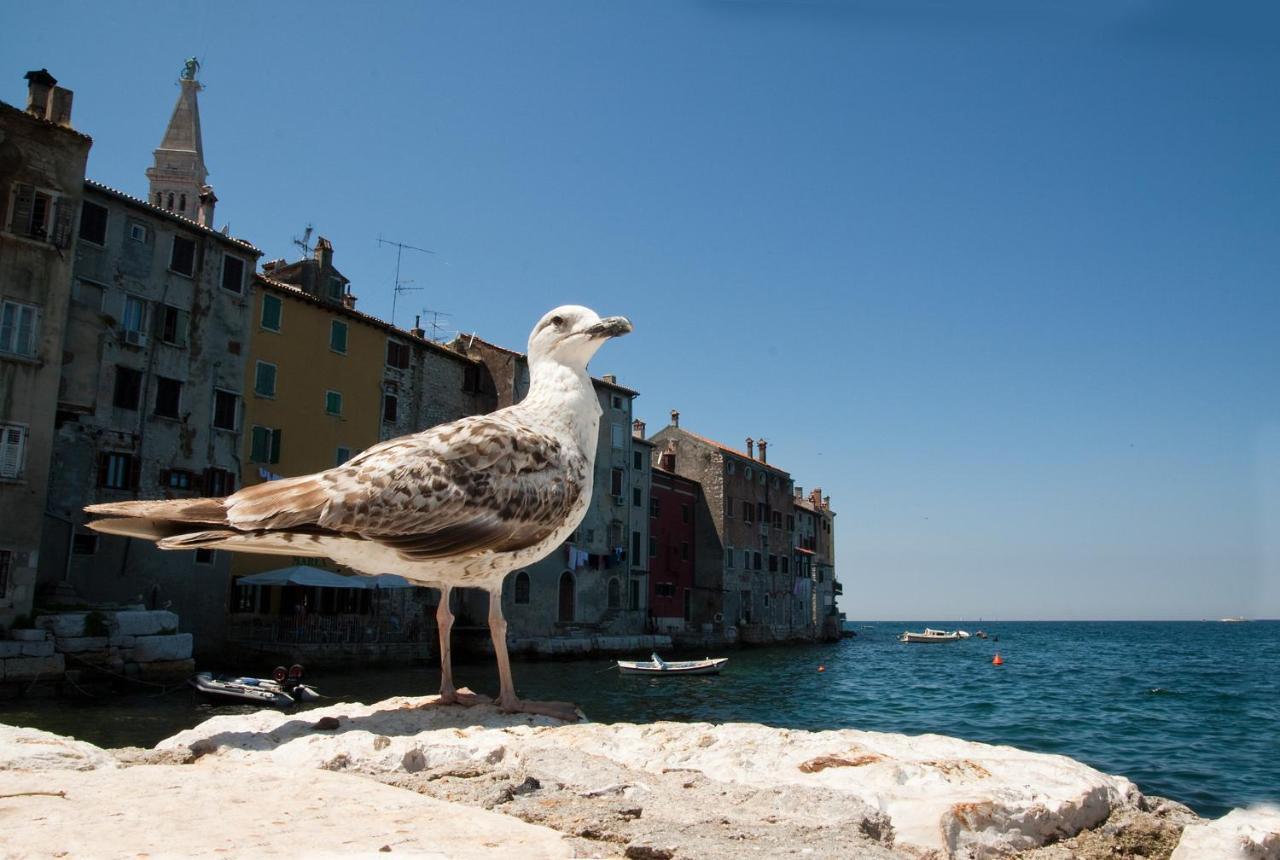 Apartamento Maximus Rovinj Exterior foto